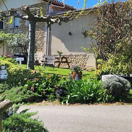 Les Figuets 度假居 Chateauneuf-de-Galaure