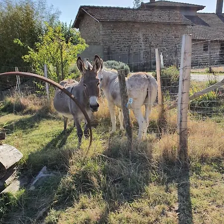 Holiday home Les Figuets Chateauneuf-de-Galaure