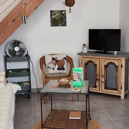 Les Figuets Chateauneuf-de-Galaure