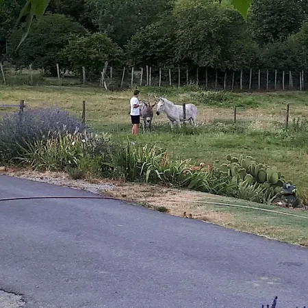 Les Figuets Hébergement de vacances Chateauneuf-de-Galaure