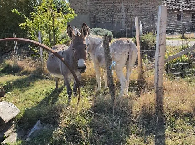 Vakantiehuis Les Figuets Chateauneuf-de-Galaure